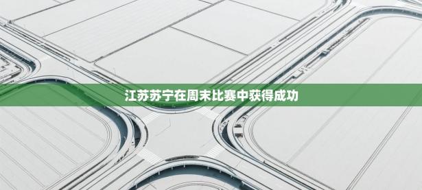 江苏苏宁在周末比赛中获得成功