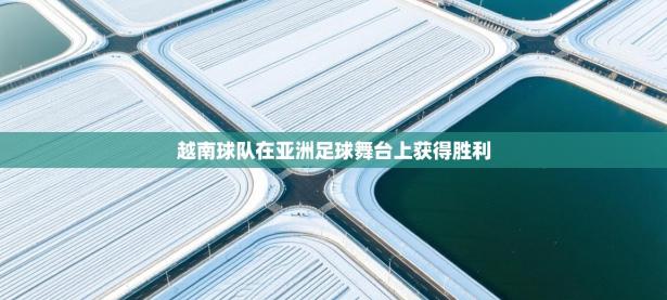 越南球队在亚洲足球舞台上获得胜利