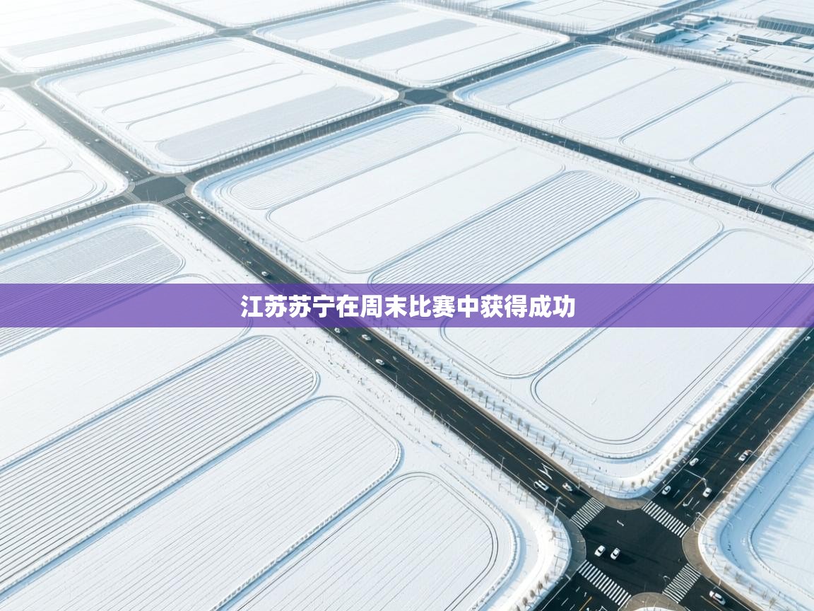 江苏苏宁在周末比赛中获得成功  第2张