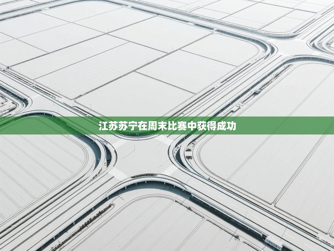 江苏苏宁在周末比赛中获得成功  第1张