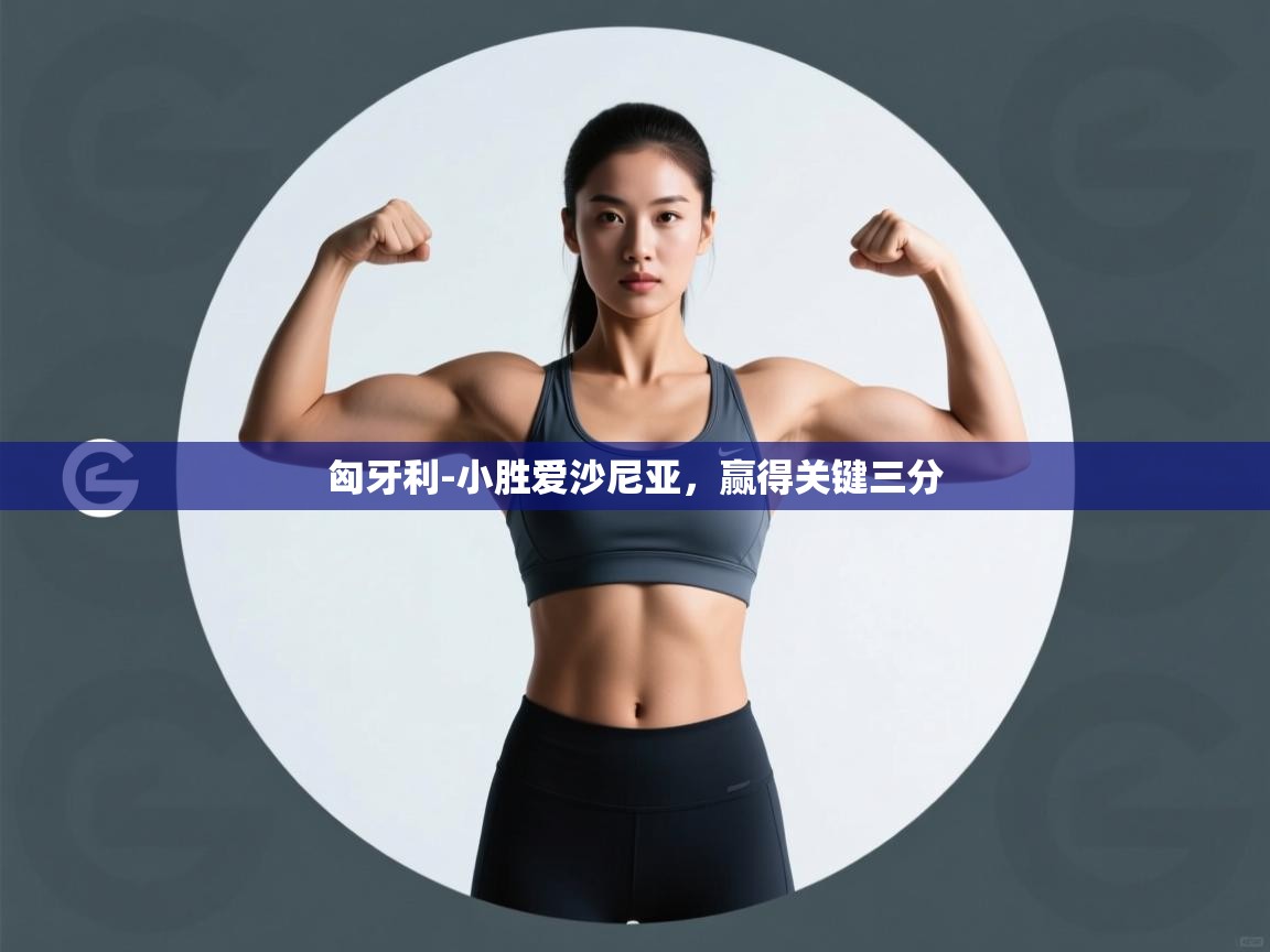 匈牙利-小胜爱沙尼亚,赢得关键三分 第1张