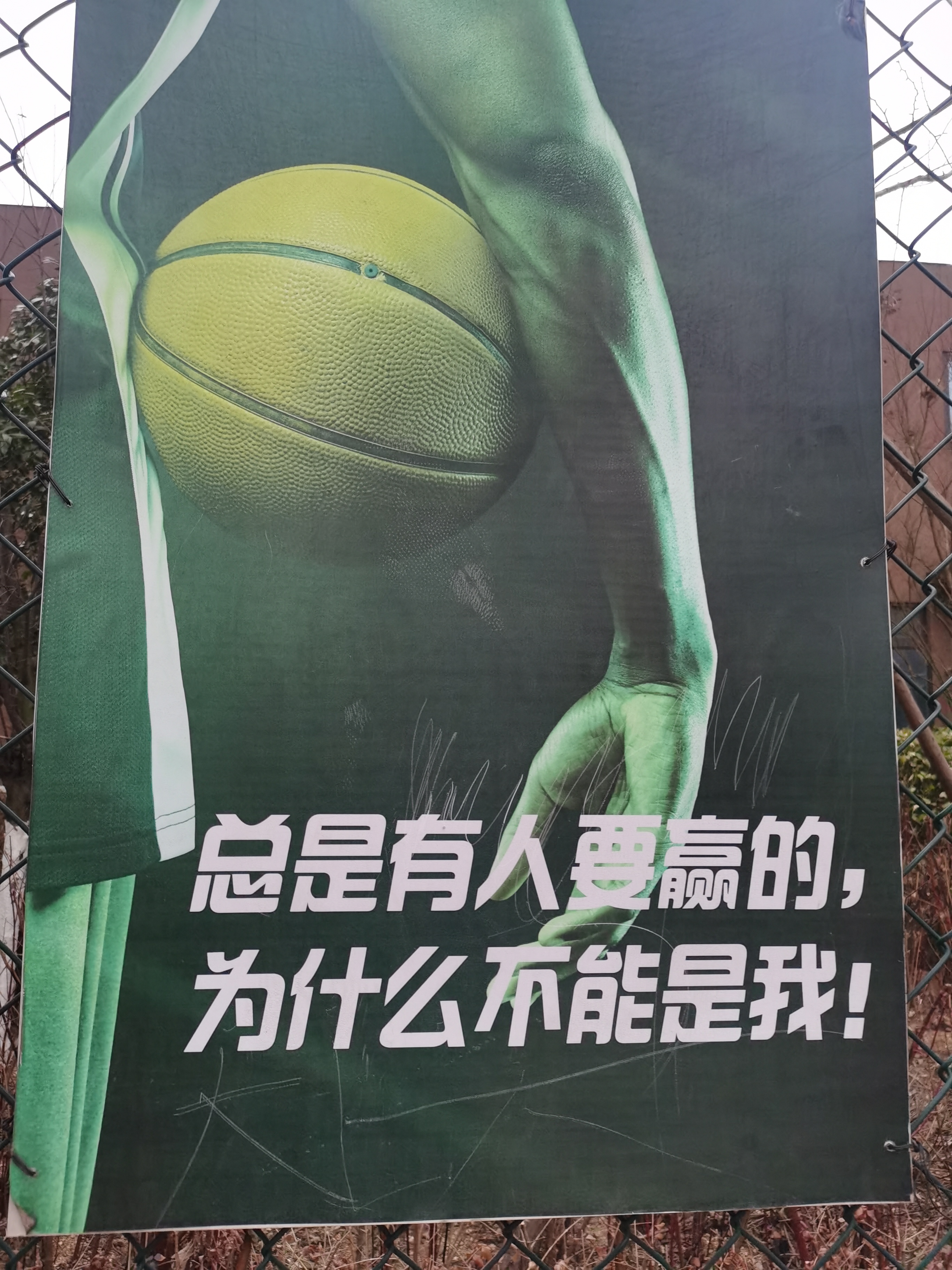 包含温馨氛围中涌现球员实力，球场热度不降的词条